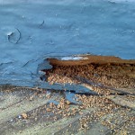 Drywood-Termite-Fecal-Matter